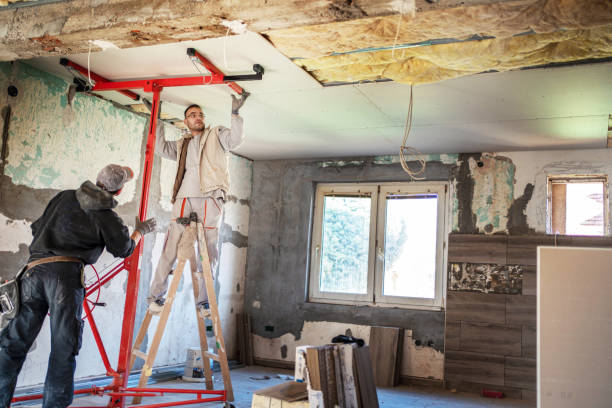 Best Insulation Maintenance and Repair in Raytown, MO