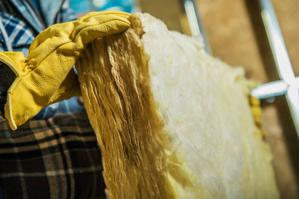 Trusted Raytown, MO Insulation Contractor Experts